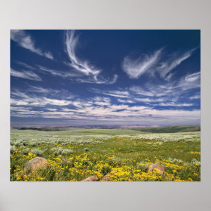 USA, Oregon, Steens Mountain. Spring burgeons Poster