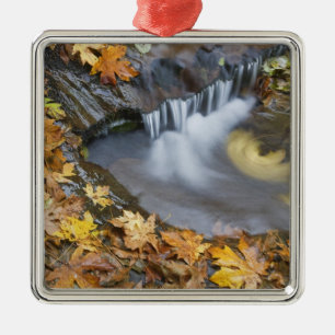 USA, Oregon, Sweet Creek. Fallen maple leaves Metal Tree Decoration