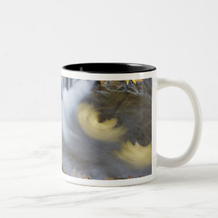 USA, Oregon, Sweet Creek. Fallen maple leaves Two-Tone Coffee Mug