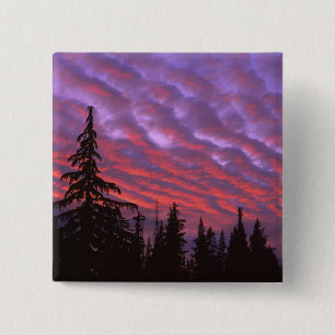 USA, Oregon, Three Sisters Wilderness, Vivid 15 Cm Square Badge