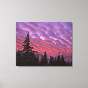 USA, Oregon, Three Sisters Wilderness, Vivid Canvas Print