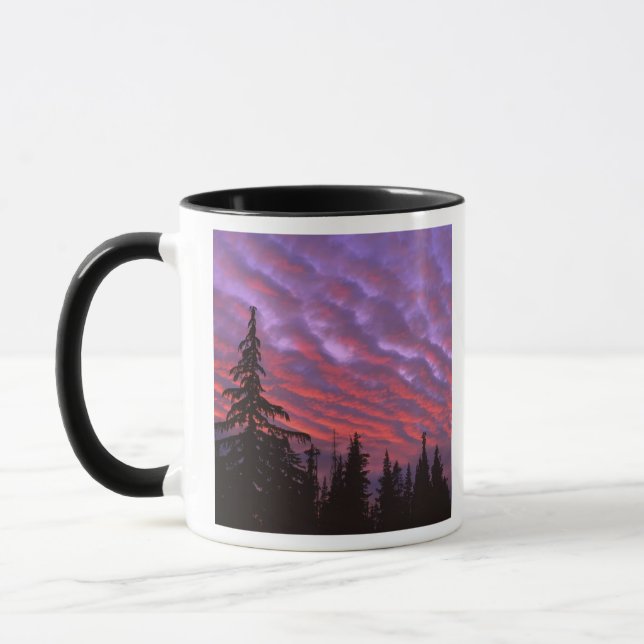 USA, Oregon, Three Sisters Wilderness, Vivid Mug (Left)