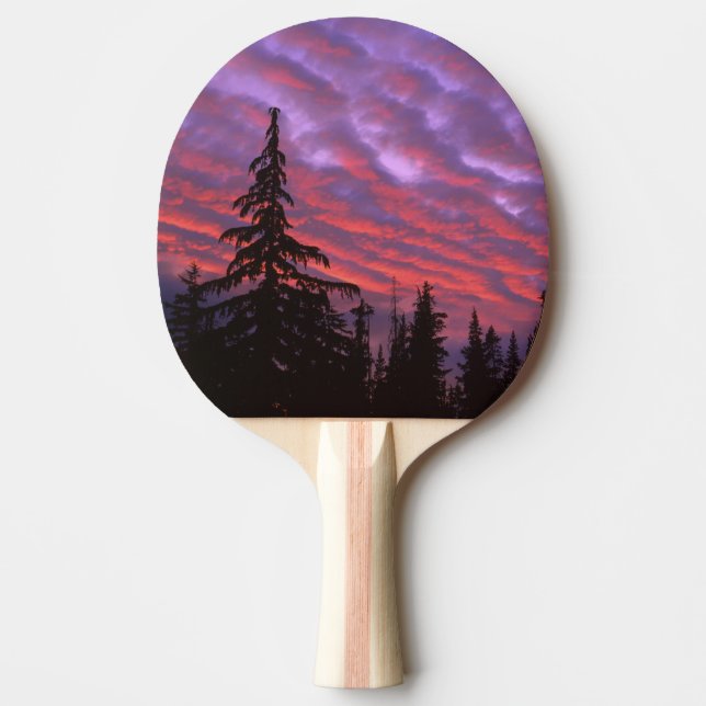 USA, Oregon, Three Sisters Wilderness, Vivid Ping Pong Paddle (Front)
