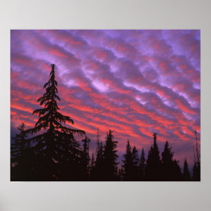 USA, Oregon, Three Sisters Wilderness, Vivid Poster