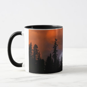 USA, Oregon, Umpqua National Forest. Storm 2 Mug