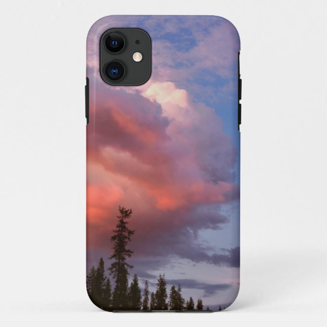 USA, Oregon, Umpqua National Forest. Storm Case-Mate iPhone Case (Back)