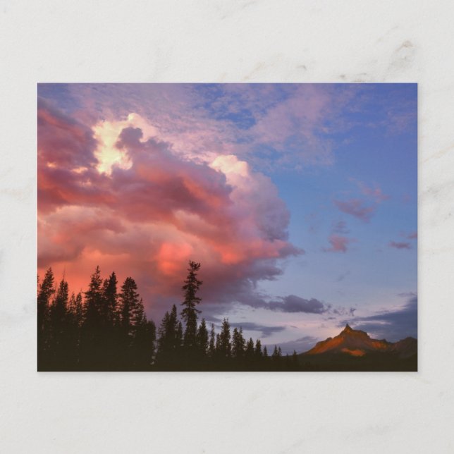 USA, Oregon, Umpqua National Forest. Storm Postcard (Front)