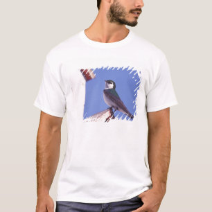 USA, Oregon. Violet-Green Swallow Tachycineta T-Shirt