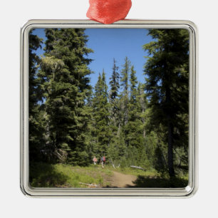 USA, Oregon, Willamette National Forest, Fall Metal Tree Decoration