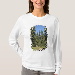 USA, Oregon, Willamette National Forest, Fall T-Shirt