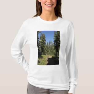 USA, Oregon, Willamette National Forest, Fall T-Shirt