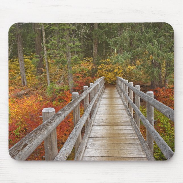 USA, Oregon, Willamette National Forest. Mouse Mat (Front)