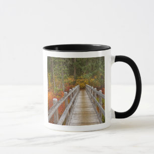 USA, Oregon, Willamette National Forest. Mug