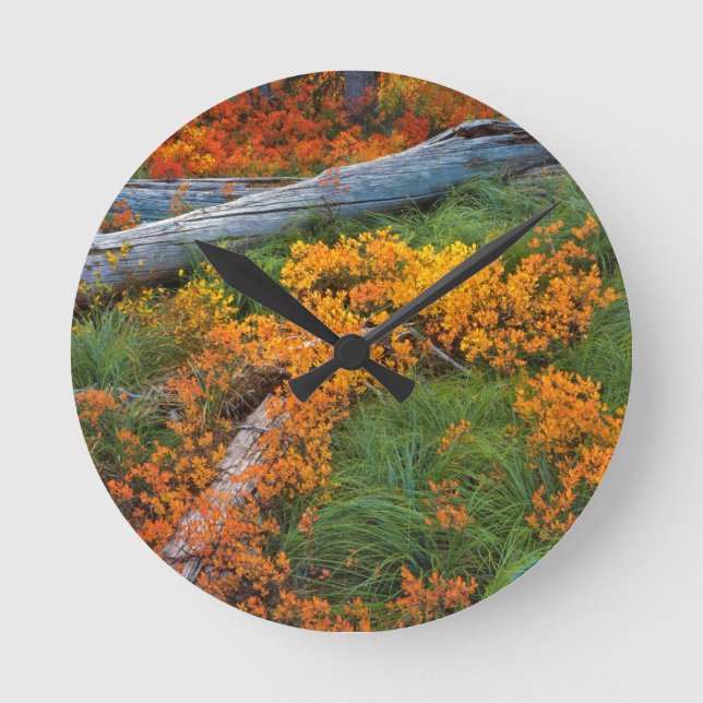 USA, Oregon, Willamette National Forest Round Clock (Front)