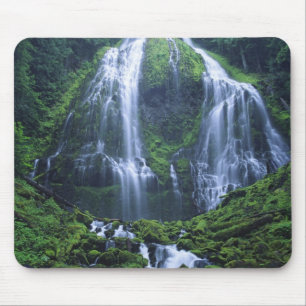 USA, Oregon, Willamette National Forest. View of Mouse Mat