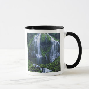 USA, Oregon, Willamette National Forest. View of Mug