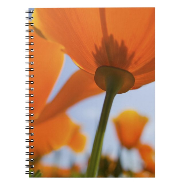 USA, Oregon, Willamette Valley, Close UP of 2 Notebook (Front)