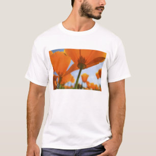 USA, Oregon, Willamette Valley, Close UP of 2 T-Shirt
