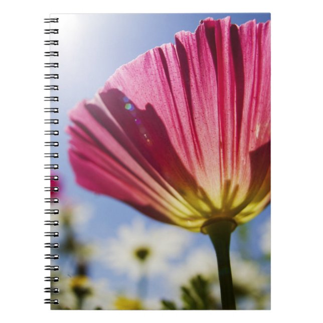 USA, Oregon, Willamette Valley, Close UP of Notebook (Front)