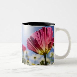 USA, Oregon, Willamette Valley, Close UP of Two-Tone Coffee Mug