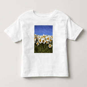 USA, Oregon, Willamette Valley. Daffodils grow Toddler T-Shirt