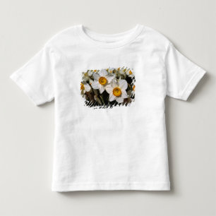 USA, Oregon, Willamette Valley. Daffodils Toddler T-Shirt