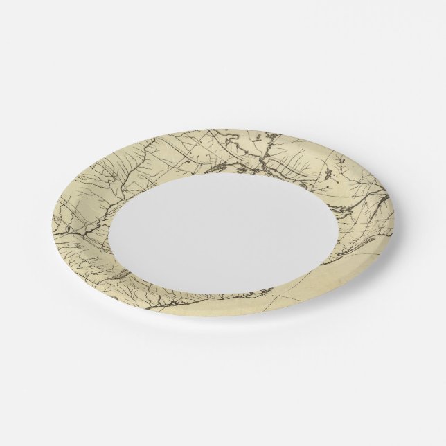 USA outline Paper Plate (Angled)