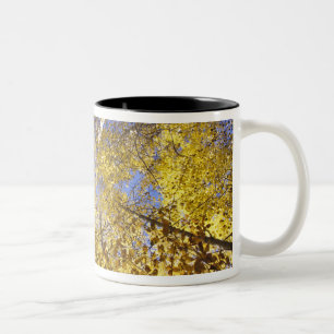 USA, Pacific Northwest. Aspen trees in autumn Two-Tone Coffee Mug