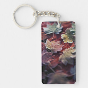 USA, Pacific Northwest. Japanese maple leaves Key Ring