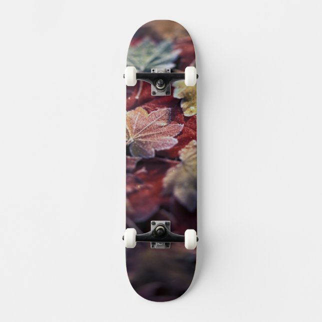 USA, Pacific Northwest. Japanese maple leaves Skateboard (Front)