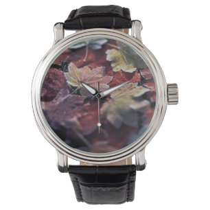 USA, Pacific Northwest. Japanese maple leaves Watch