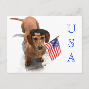 USA Patriotic dachshund postcard