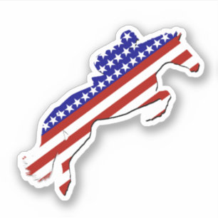 USA Patriotic Equestrian 