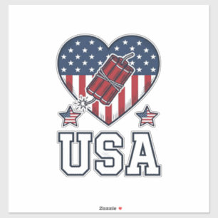 USA Patriotic Firecracker Heart Vintage Vector Shi
