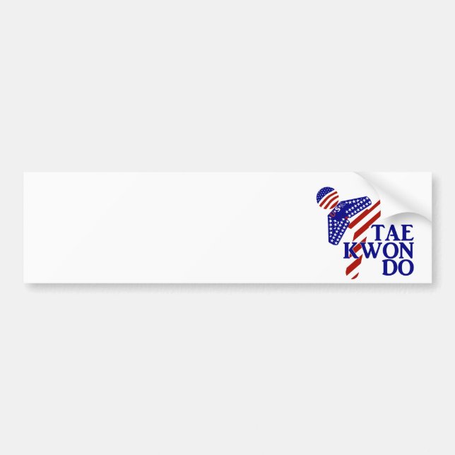 USA Patriotic Martial Arts TAEKWONDO  Bumper Sticker (Front)
