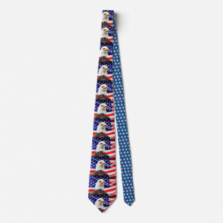 USA Patriotic NeckTie