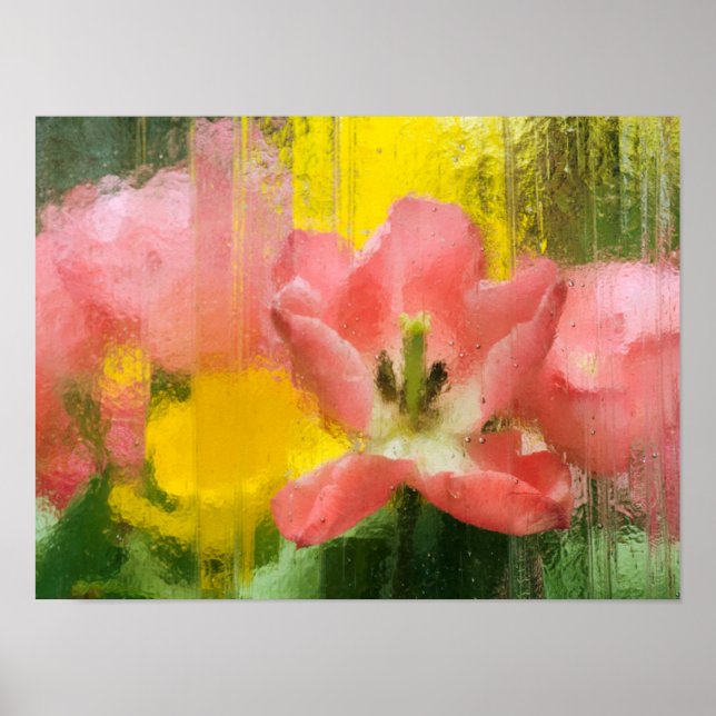 USA, Pennsylvania. Abstract tulip impression Poster (Front)