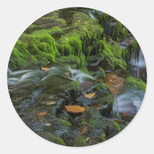 USA, Pennsylvania, Benton, Ricketts Glen State Classic Round Sticker
