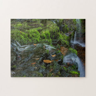USA, Pennsylvania, Benton, Ricketts Glen State Jigsaw Puzzle