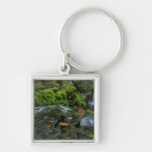 USA, Pennsylvania, Benton, Ricketts Glen State Key Ring