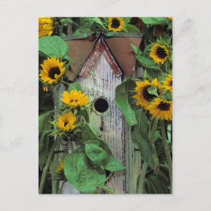 USA, Pennsylvania. Birdhouse and garden Postcard