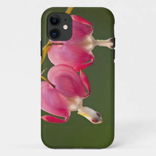 USA, Pennsylvania. Close-up of two bleeding iPhone 11 Case
