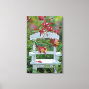 USA, Pennsylvania. Columbine flowers and chair Canvas Print