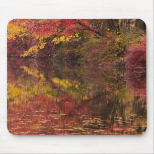 USA, Pennsylvania, Delaware Water Gap National Mouse Mat