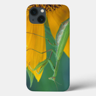 USA, Pennsylvania. Female praying mantis iPhone 13 Case