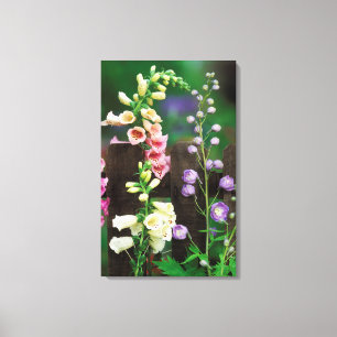 USA, Pennsylvania. Foxglove and delphinium Canvas Print