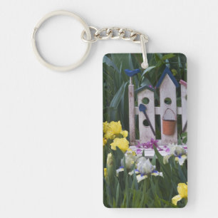 USA, Pennsylvania. Garden irises grow around Key Ring