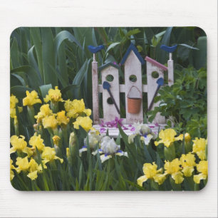 USA, Pennsylvania. Garden irises grow around Mouse Mat