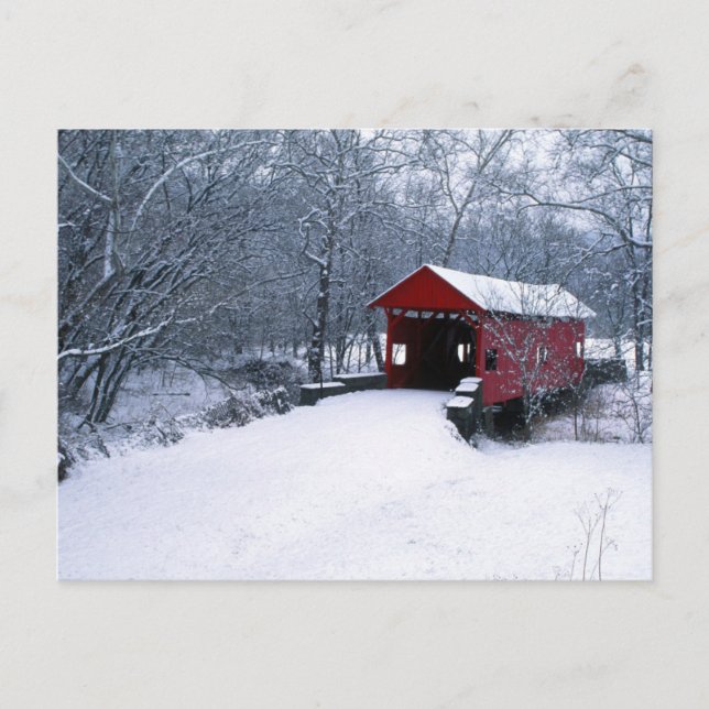 USA, Pennsylvania, Mariana County Postcard (Front)