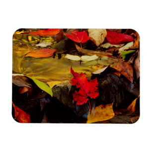 USA, Pennsylvania, Pocono Mountains 1 Magnet